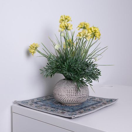 Villa Ninfa Alburnea Anzio Ngoại thất bức ảnh